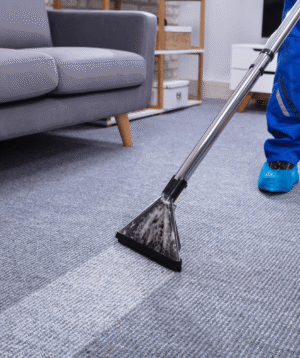 Carpet Shampooing