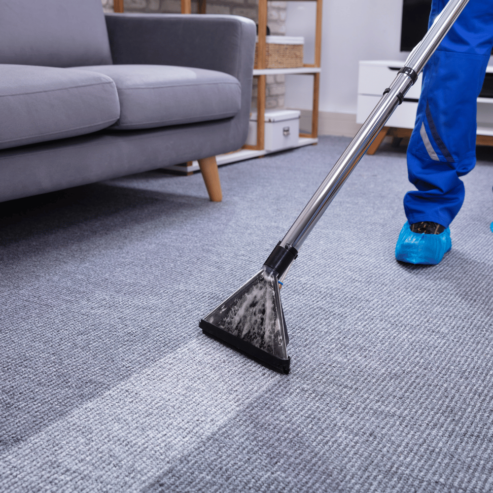 Carpet Shampooing