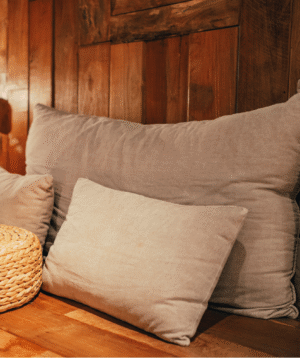 Sofa Cushion Cleaning