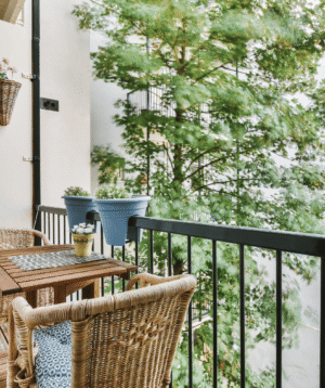Balcony & Window Cleaning
