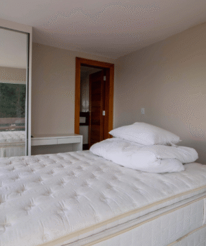 Bed Cleaning